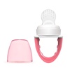 image:imageDr Browns Designed to Nourish Fresh Firsts Silicone Feeder Grey One SizePink