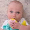 image:imageDr Browns Infant Gripebelt Heated Belly Band Soothe Babys Tummy with Gentle Warmth and Compression Lamb 0mBlue Monster