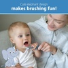 image:imageDr Browns InfanttoToddler Toothbrush Elephant Blue 03 Years1 Count Pack of 1