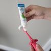 image:imageDr Browns InfanttoToddler Toothbrush Elephant Pink 03 Years