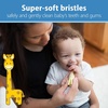 image:imageDr Browns InfanttoToddler Toothbrush Giraffe1 Count Pack of 2