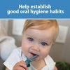 image:imageDr Browns InfanttoToddler Toothbrush Set 14 Ounce Blue