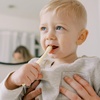 image:imageDr Browns InfanttoToddler Toothbrush Set Soft amp Gentle Manual Toothbrushes for Baby PinkEcruPurpleDark Green BPA Free 03 Years  4Pack4Pack  GreenDark BlueEcruBlue