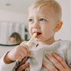 image:imageDr Browns InfanttoToddler Toothbrush Set Soft amp Gentle Manual Toothbrushes for Baby PinkEcruPurpleDark Green BPA Free 03 Years  4Pack4Pack  PinkEcruPurpleDark Green