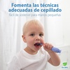 image:imageDr Browns ToothScrubber Toddler Toothbrush TripleSided Training Toothbrush with Suction Cup Base Green Monster Baby Oral Care Ages 14 Years1 Pack  Purple Monster