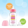image:imageDr Browns AntiColic Options WideNeck Sippy Bottle Starter Kit 9oz270mL with Level 3 MediumFast Flow Nipple and Soft 100 Silicone Sippy Spout Blue BPA Free 6mPink
