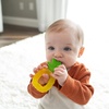 image:imageDr Browns AquaCool WaterFilled Teether Cooling Baby Teether Toy for Sore Gums Apple Pineapple BPAFree 3m 2Pack