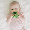 image:imageDr Browns AquaCool WaterFilled Teether Cooling Baby Teether Toy for Sore Gums Green Cactus BPAFree 3m 4PackAvocado Toast