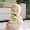 image:imageDr Browns AquaCool WaterFilled Teether Cooling Baby Teether Toy for Sore Gums Green Cactus BPAFree 3m 4PackAvocado Toast