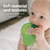 image:imageDr Browns AquaCool WaterFilled Teether Cooling Baby Teether Toy for Sore Gums Green Cactus BPAFree 3m 4PackAvocado Toast