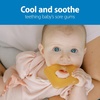 image:imageDr Browns AquaCool WaterFilled Teether Cooling Baby Teether Toy for Sore Gums Green Cactus BPAFree 3m 4PackAvocado Toast