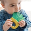 image:imageDr Browns AquaCool WaterFilled Teether Cooling Baby Teether Toy for Sore Gums Green Cactus BPAFree 3m 4PackHouse Plants