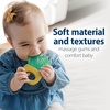 image:imageDr Browns AquaCool WaterFilled Teether Cooling Baby Teether Toy for Sore Gums Green Cactus BPAFree 3m 4PackHouse Plants