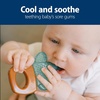 image:imageDr Browns AquaCool WaterFilled Teether Cooling Baby Teether Toy for Sore Gums Green Cactus BPAFree 3m 4PackHouse Plants