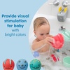 image:imageDr Browns CleanUp Float amp Hatch Dino Eggs MultiUse Interactive Bath and Pool Toy for Toddlers 6m BPA Free Packaging May VaryDino Hatch Eggs  Dino Bath Spout Cover  and Green Dino Toothbrush