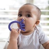 image:imageDr Browns Flexees Friends Baby Teether Orange Fox 100 Silicone BPA Free 3mOctopus  Purple