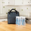 image:imageDr Browns Fold amp Freeze Bottle Tote Breastfeeding Essential Cooler Bag 6 Baby Bottles Milk Storage  Black1 Pack  Black