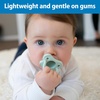 image:imageDr Browns HappyPaci 100 Silicone Baby Pacifier Contoured OnePiece Design GrayGreenEcru 06m BPAFree 3Pack4Pack  GrayGreenEcru