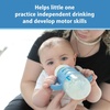 image:imageDr Browns Milestones 100 Silicone Baby Bottle Handles WideNeck Light Blue Green Gray 3 Pack 4mBlue  Gray  Green