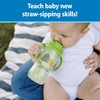 image:imageDr Browns Milestones Insulated Sippy Cup with Straw and Handles SpillProof Tumbler with Lid 2Pack Blue amp Green 10 oz300 mL BPA Free 12mBlue  Green