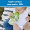 image:imageDr Browns Milestones Insulated Sippy Cup with Straw and Handles SpillProof Tumbler with Lid 2Pack Blue amp Green 10 oz300 mL BPA Free 12mBlueGreenPinkPurple