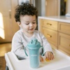 image:imageDr Browns Milestones Insulated Sippy Cup with Straw and Handles SpillProof Tumbler with Lid 2Pack Blue amp Green 10 oz300 mL BPA Free 12mGreenBlueGreenGreen