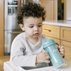 image:imageDr Browns Milestones Insulated Sippy Cup with Straw and Handles SpillProof Tumbler with Lid 2Pack Blue amp Green 10 oz300 mL BPA Free 12mGreenBlueGreenGreen