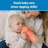 image:imageDr Browns Milestones Insulated Sippy Cup with Straw and Handles SpillProof Tumbler with Lid PinkCoral 10 oz300 mL BPAFree 12m 2PackCoral  Pink
