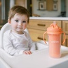 image:imageDr Browns Milestones Insulated Sippy Cup with Straw and Handles SpillProof Tumbler with Lid PinkCoral 10 oz300 mL BPAFree 12m 2PackPinkOrangeGreenPurple