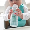 image:imageDr Browns Milestones Narrow Sippy Bottle 100 Silicone Soft Sippy Spout 8oz250mL 6m Lion1 Pack  Flamingo