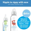image:imageDr Browns Milestones Narrow Sippy Bottle 100 Silicone Soft Sippy Spout 8oz250mL 6m Lion2 Pack  Fox  Lion