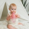 image:imageDr Browns Milestones Narrow Sippy Straw Bottle SpillProof with 100 Silicone Handles and Weighted Straw 8 oz250 mL Gray 6mPink  Pink