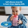 image:imageDr Browns Milestones Straw to 360 Convertible Toddler Training Cup Set with Interchangeable Silicone Straw and 360 Degree Cup Lids Blue Ocean 10 oz300 mL BPAFree 9m 2PackPink Coral