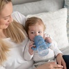 image:imageDr Browns Milestones WideNeck Sippy Spout Bottle with Silicone Handles 9 oz270 mL Ecru 1PackBlue