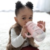 image:imageDr Browns Milestones WideNeck Sippy Spout Bottle with Silicone Handles 9 oz270 mL Pink 1PackLightPink