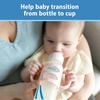image:imageDr Browns Narrow Baby Bottle Handles 100 Silicone Easy Grip Removable Handles for Bottle to Sippy Cup Transition BlackEcruPink 3Pack 4mEcru