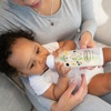 image:imageDr Browns Natural Flow AntiColic Options Narrow Baby Bottle Frog and Pig 8 oz250 mL with Level 1 Slow Flow Nipple BPAFree 0m 2Pack4Pack  Bear  Owl  Pig   Frog