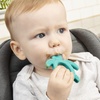 image:imageDr Browns Silicone Starter Spoon and Teether for Babies and Infants Turtles 1 Pack 4m1Pack  Starter Spoon