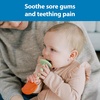 image:imageDr Browns Teething Tubes for Babies Bee and Snail Massaging Silicone Teether Sticks BPA Free 3m 2Pack