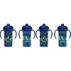 4-Pack  Sunglasses Cactus + Astro Dino