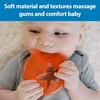 image:imageDr Browns Aqua Cool WaterFilled Baby Teether 2Pack  PastaTomato 3m  Cooling Teether Toy for Babies Soothes Sore Gums Fun Pasta and Tomato Shapes BPAFree