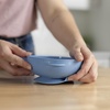 image:imageDr Browns NoSlip Suction Bowls Baby and Toddler 4m 2Pack PinkLilac  Dr Browns Designed to Nourish NoSlip Suction Bowls for Babies and Toddlers Quick Release Tab BPAFree 4m 2PackBlue and Gray