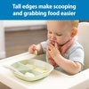 image:imageDr Browns NoSlip Suction Plate for Baby and Toddler 4m 1Pack Pink  Dr Browns Designed to Nourish NoSlip Suction Plate for Babies and Toddlers 3 Divided Sections BPAFree 4m 1Pack