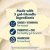 image:imageDr Browns Sweetie Pie Prenatal Botanical Drink Mix for Digestion